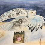 2017, Watercolor, Snowy Owl