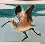 2014, Pastel, Long Billed Curlew