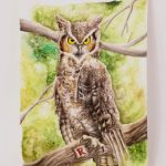 2018, Watercolor, The Gentrified Owl