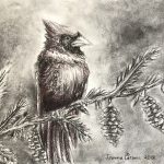 2018, Charcoal, Cardinal on Branch