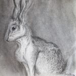 2018, Charcoal, The Hare