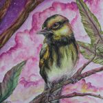 2018, Watercolor, Townsend's Warbler