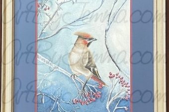 Winning Artwork – “Bohemian Waxwing”