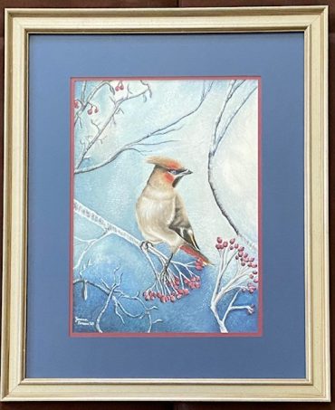 Winning Artwork – “Bohemian Waxwing”