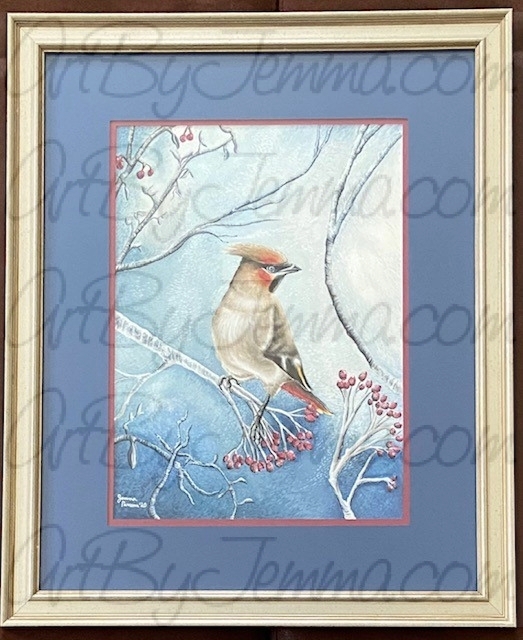 Winning Artwork – “Bohemian Waxwing”