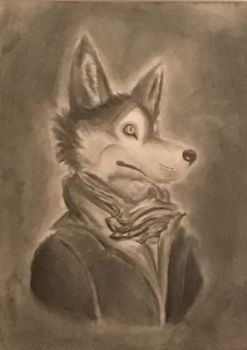 2017, Charcoal, Wolf of Distinction