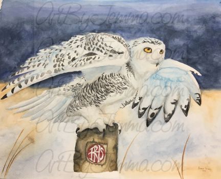 2017, Watercolor, Snowy Owl