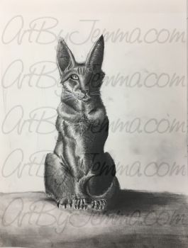 2017, Charcoal, Cat