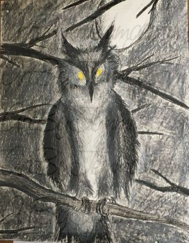 2014, Oil Pastel, Owl