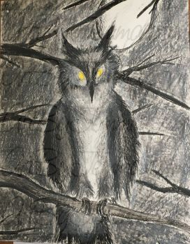 2014, Oil Pastel, Owl