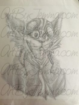 2017, Pencil, Aviator Cat