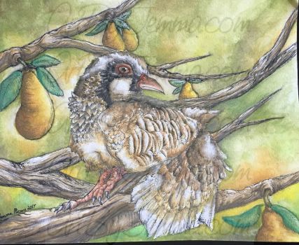 2017, Watercolor, Partridge in a Pear Tree