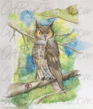2017, Watercolor, Owl
