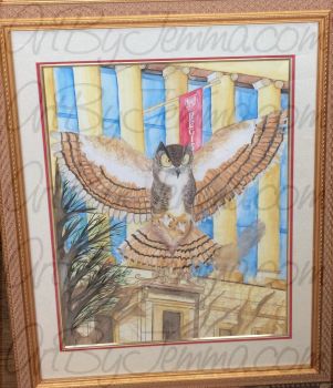 2016, Watercolor, Owl