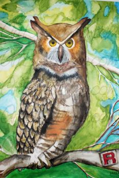 2015, Watercolor, Majestic Owl