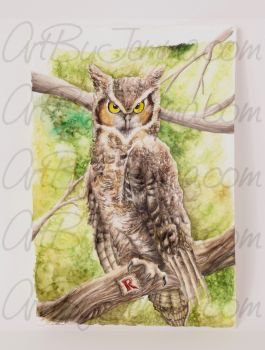 2018, Watercolor, The Gentrified Owl