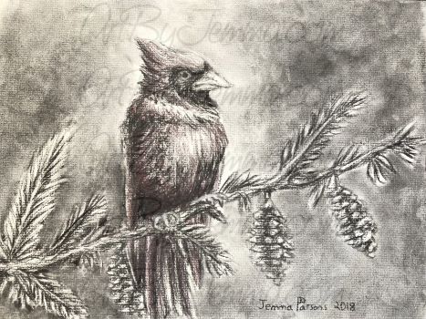 2018, Charcoal, Cardinal on Branch