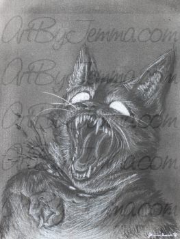 2018, Charcoal, Cut!