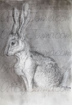 2018, Charcoal, The Hare